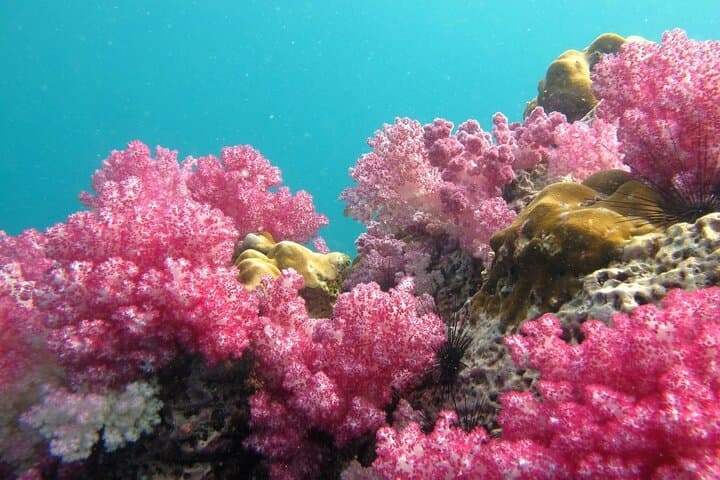 koh lipe romantic escape